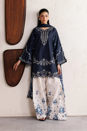 Premium Embroidery Set (Blue)
